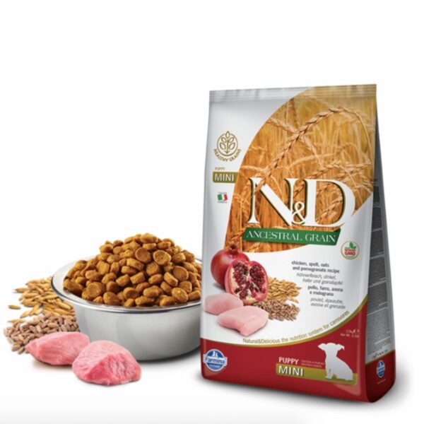 n&d mini puppy