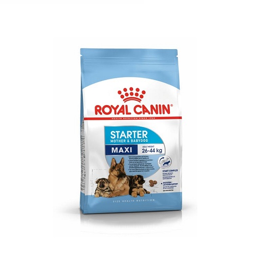 royal canin starter formula