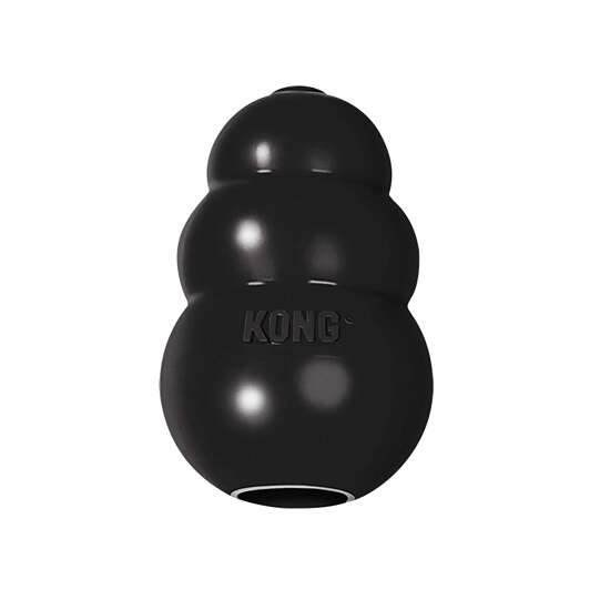 KONG Extreme toy for dogs