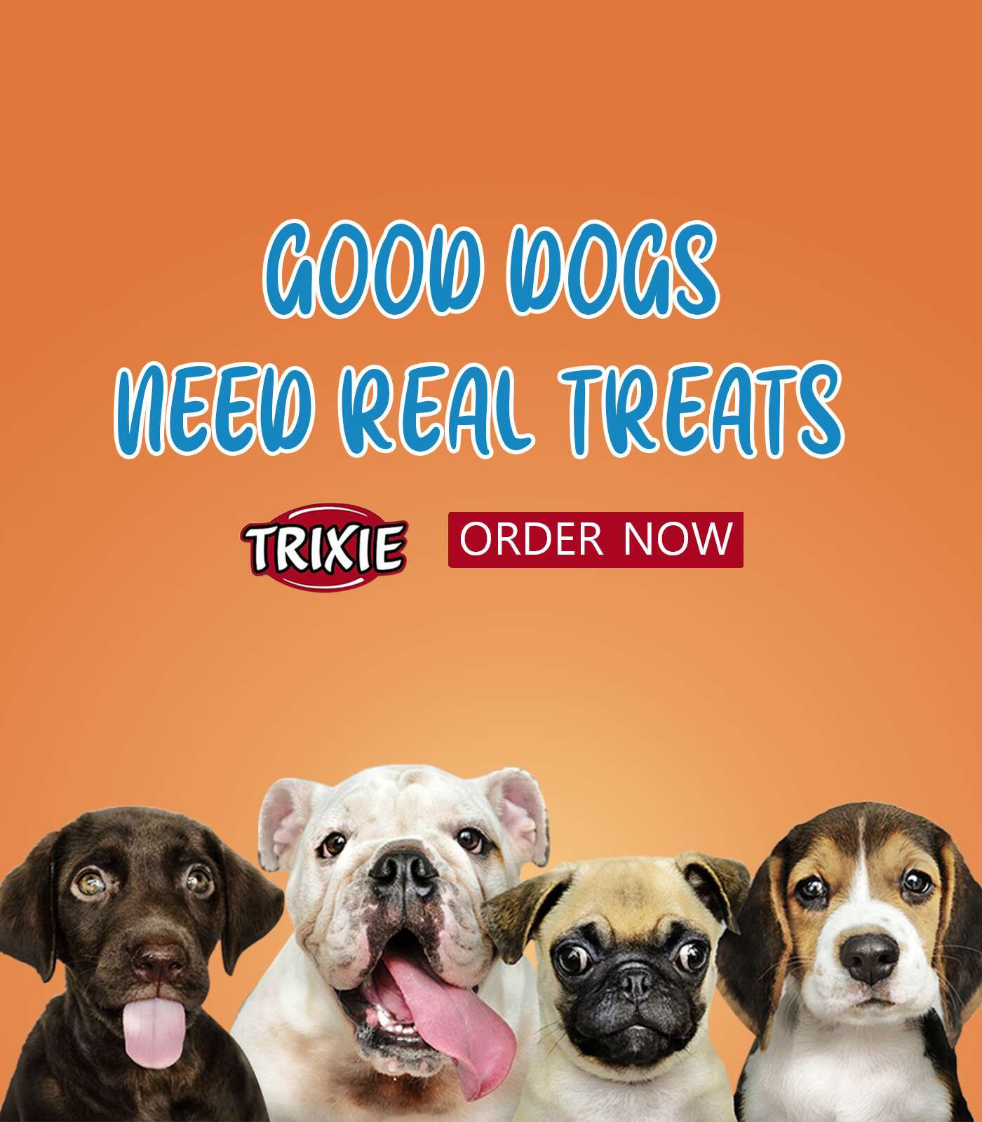Dry food treats for dogs