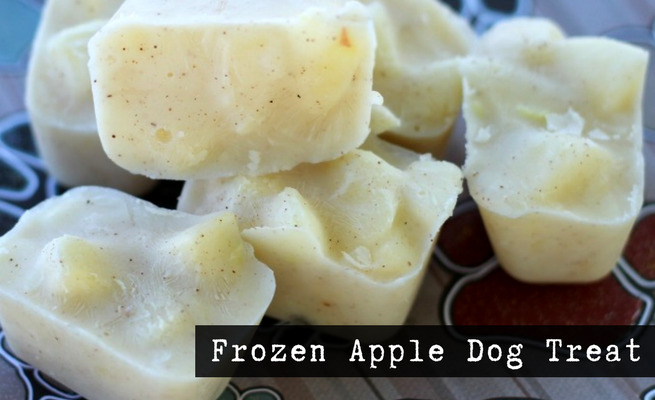 Frozen Apple Dog Treat