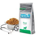 vl dog renal