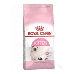 619y25vyEvL._AC_SX569_