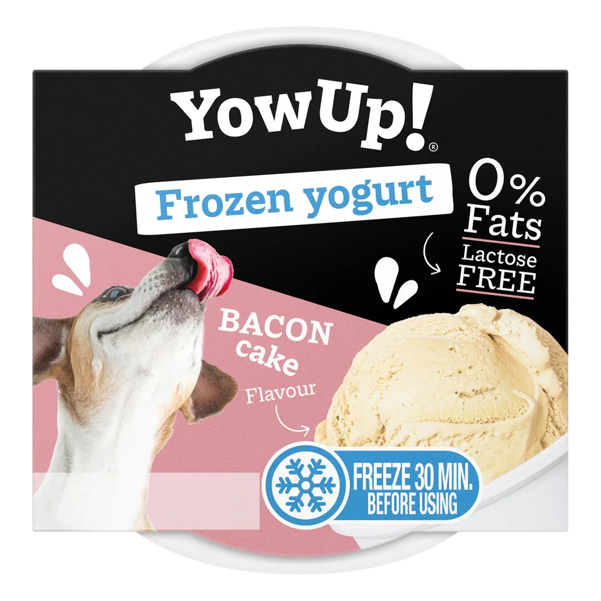 FROZEN YOGURT DOG BACON CAKE